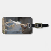 子供のヤギの遊ぶこと ラゲッジタグ (正面横)