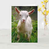 子供のヤギ カード (黄色い花)