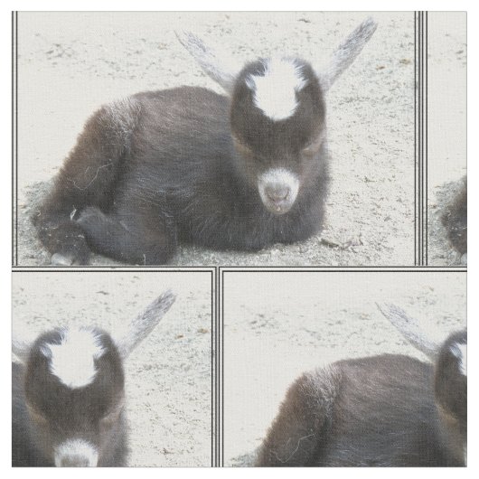 子供のヤギ ファブリック (クローズアップ)