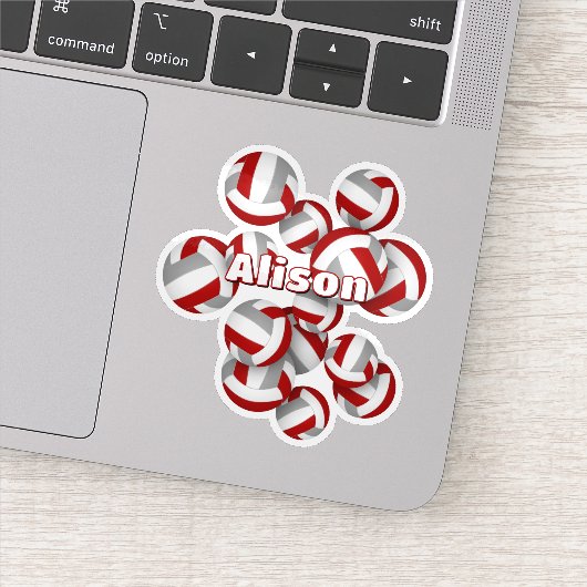 子供の名前レッドグレーチームカラーバレーボール シール (詳細)