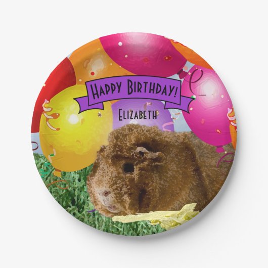 子供の名前誕生日モルモットパーティーバルーン ペーパープレート (正面)