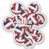 子供の名前 赤 青 チーム カラー バレーボール シール (正面)