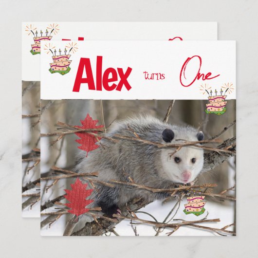 子供の最初の誕生日招待状ポッサム自然 招待状 (正面/裏面)