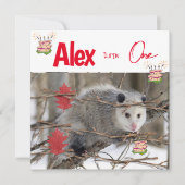 子供の最初の誕生日招待状ポッサム自然 招待状 (正面)