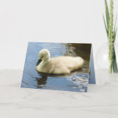 子供の柔らかさ カード (正面)