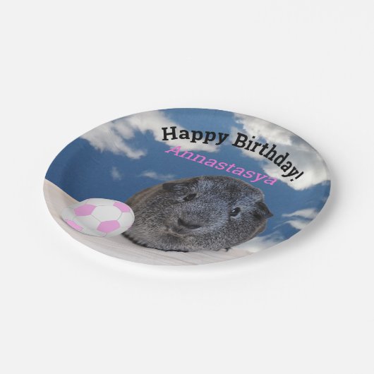子供の誕生日ギニアピグピンクサッカーボールカスタム ペーパープレート (アングル)