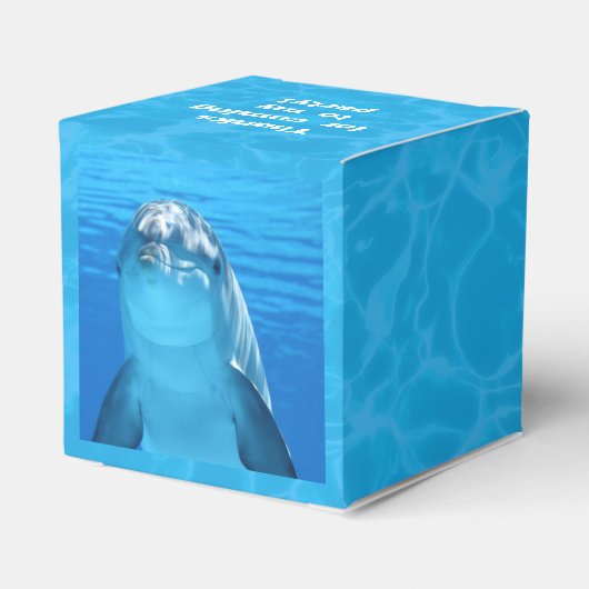 子供の誕生日ドルフィンパーティーフェイスボックス付文字 フェイバーボックス (裏面サイド)