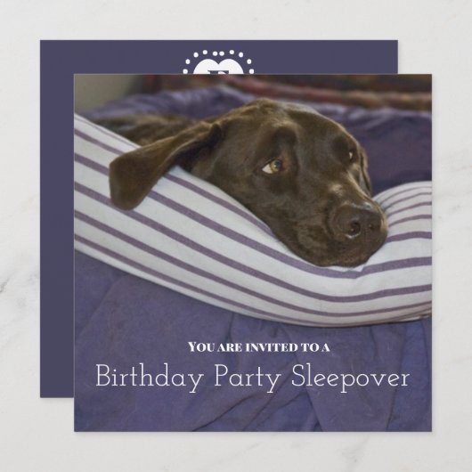 子供の誕生日パーティー眠い犬のスイーバー 招待状 (正面/裏面)