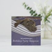 子供の誕生日パーティー眠い犬のスイーバー 招待状 (スタンド正面)