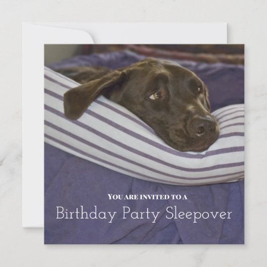 子供の誕生日パーティー眠い犬のスイーバー 招待状 (正面)
