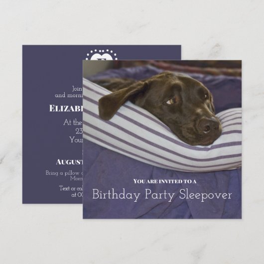 子供の誕生日パーティー 眠い犬の夜更かし 招待状 (正面/裏面)