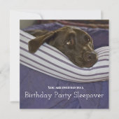 子供の誕生日パーティー 眠い犬の夜更かし 招待状 (正面)