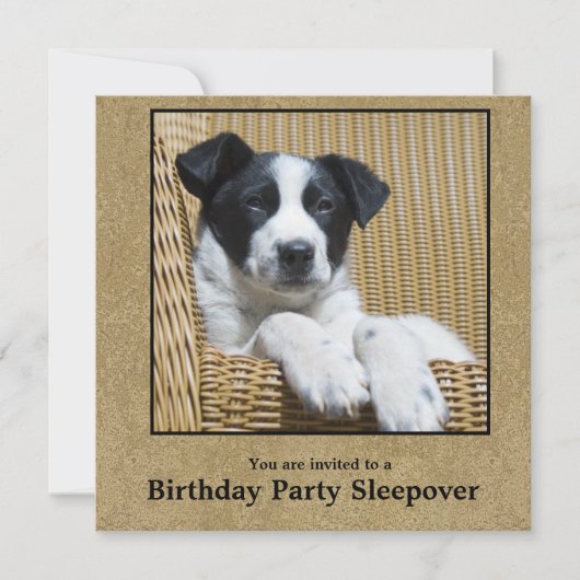 子供の誕生日子犬カスタムの写真そりの人 招待状 (正面)