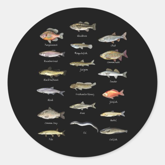 子供の魚種生物学の種類の淡水魚 ラウンドシール (正面)
