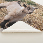 子供のSherpaかわいい毛布 シェルパブランケット (3/4)