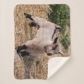 子供のSherpaかわいい毛布 シェルパブランケット (正面)