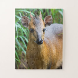 子供動物園アニマルパズル ジグソーパズル