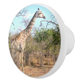 子供用ルーム・キリン用セラミックノブ用の動物用デコ セラミックノブ (右)