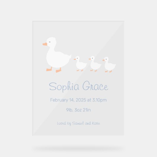 子供部屋デコール赤ちゃんシャワーまたはアナウンスの標識 アクリルサイン (正面)