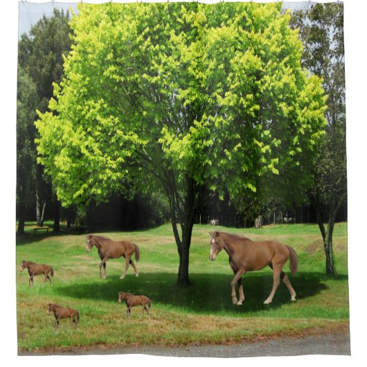 子供馬シャワーカーテン シャワーカーテン (正面)