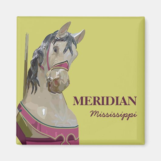 子午角磁石 マグネット (正面)