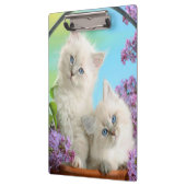 子図形/クリップボード クリップボード (左)