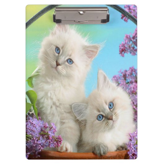 子図形/クリップボード クリップボード (正面)