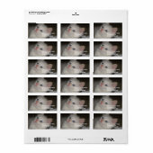 子大切天 ラベル (フルシート)