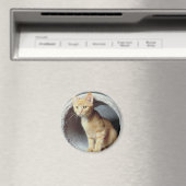 子天トン遊ネル マグネット (インサイチュ (食洗機))