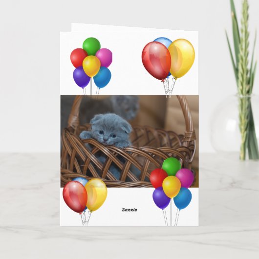 子天 カード (裏面)