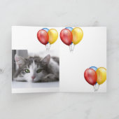 子天 カード (内部)