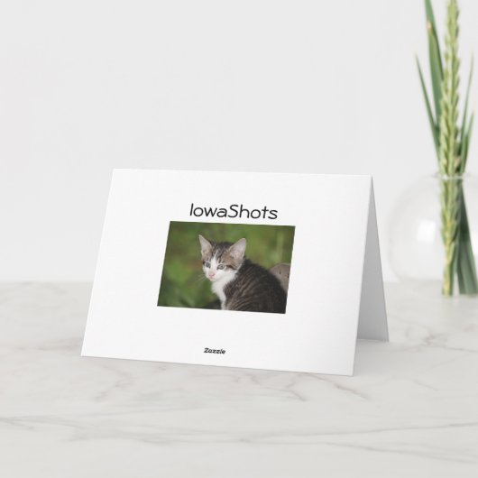 子天 カード (裏面)