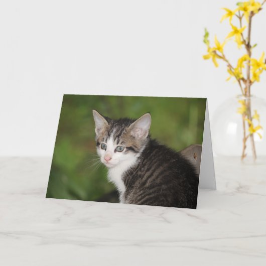 子天 カード (黄色い花)