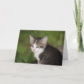 子天 カード (正面)