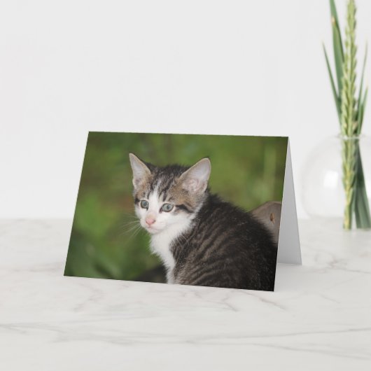 子天 カード (正面)