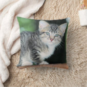 子天 クッション (ブランケット)