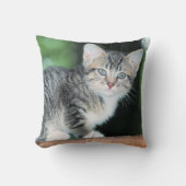 子天 クッション (正面)