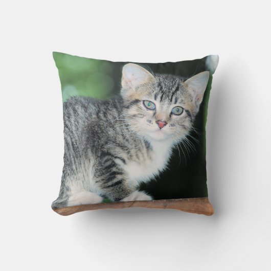 子天 クッション (正面)