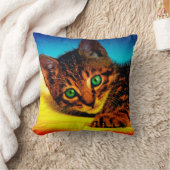 子天 クッション (ブランケット)