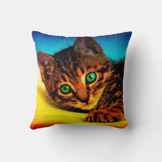 子天 クッション (裏面)