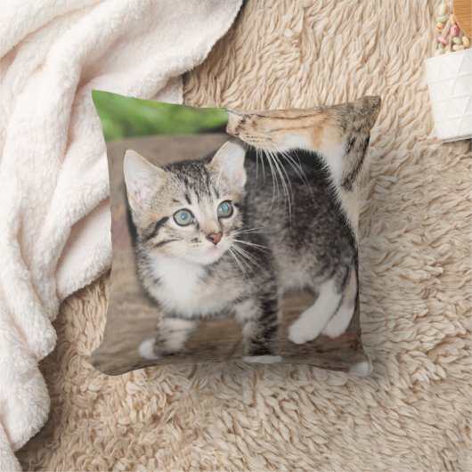 子天 クッション (ブランケット)