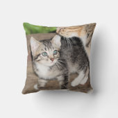 子天 クッション (裏面)