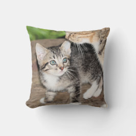 子天 クッション