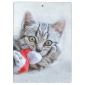 子天 クリップボード (裏面)