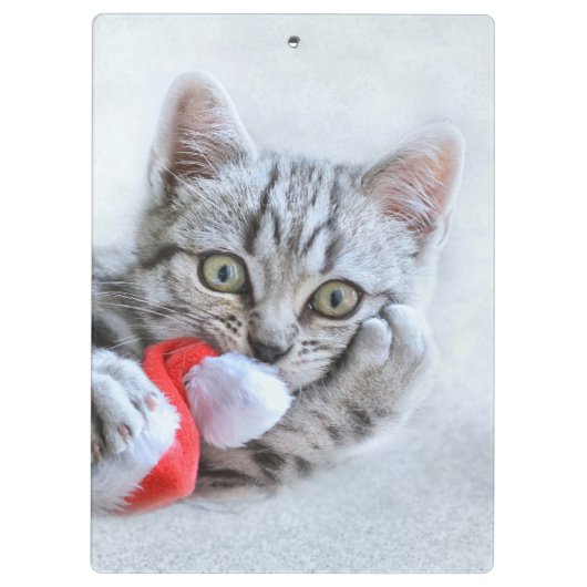 子天 クリップボード (裏面)