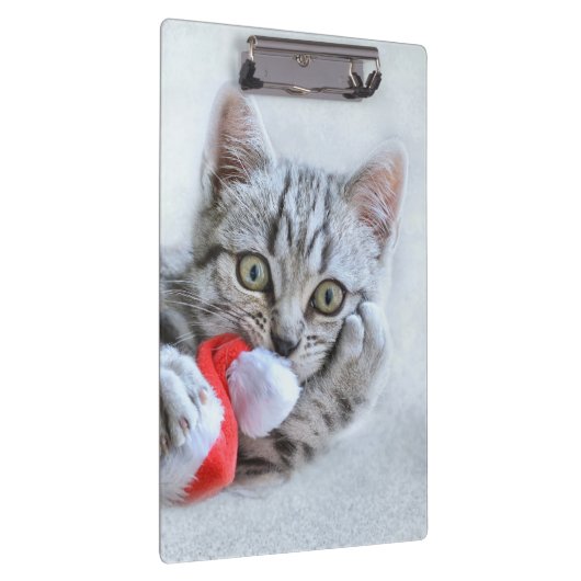 子天 クリップボード (右)