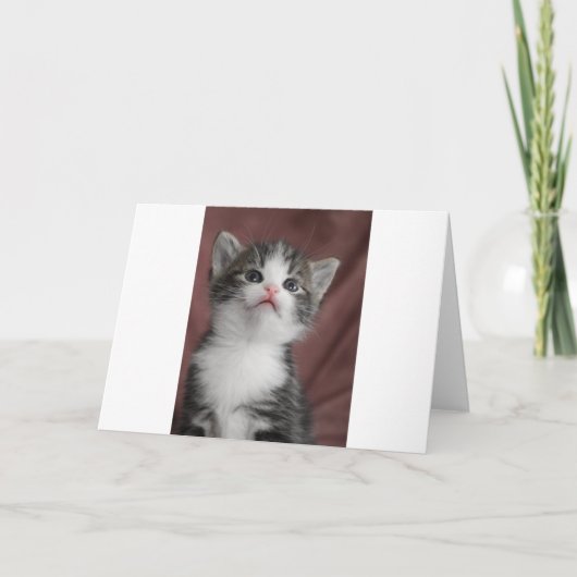 子天 サンキューカード (正面)