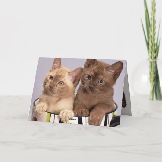 子天 サンキューカード (裏面)