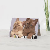 子天 サンキューカード (裏面)