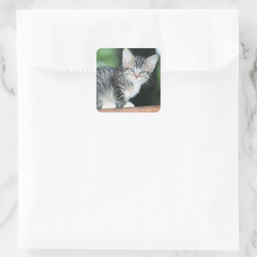 子天 スクエアシール (バッグ)